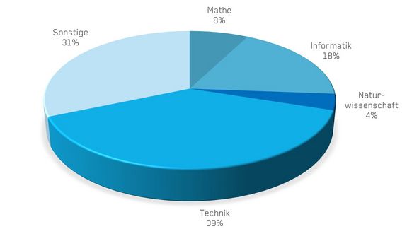 Matheanteil 8%, Informatik 18%, Naturwissenschaft 4%, Technik 39%, Sonstige 31%